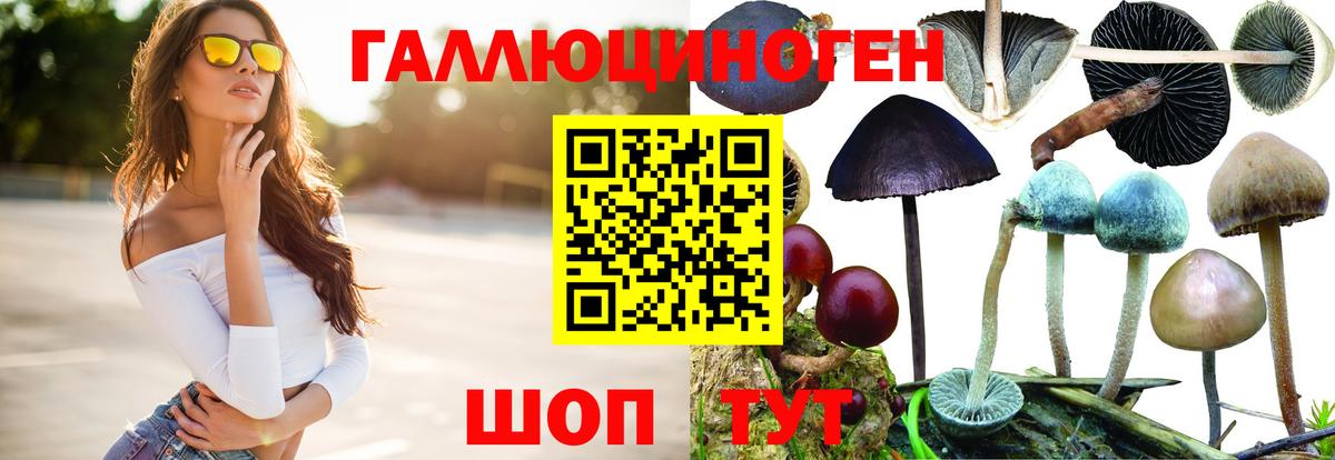 Псилоцибиновые грибы Psilocybe  Вход с VPN  цены   Светлоград 